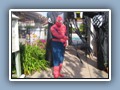 (2007) Spiderman
